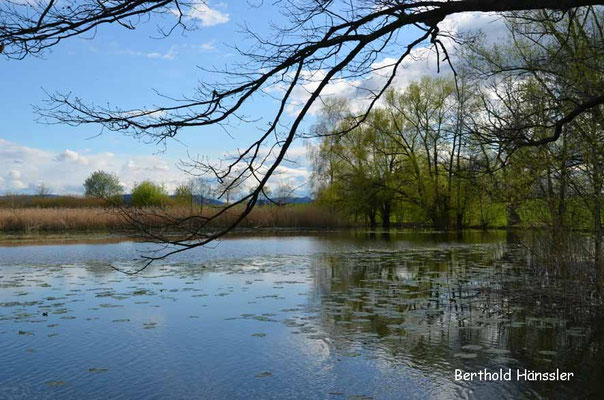 Schlossweiher Charlottensee