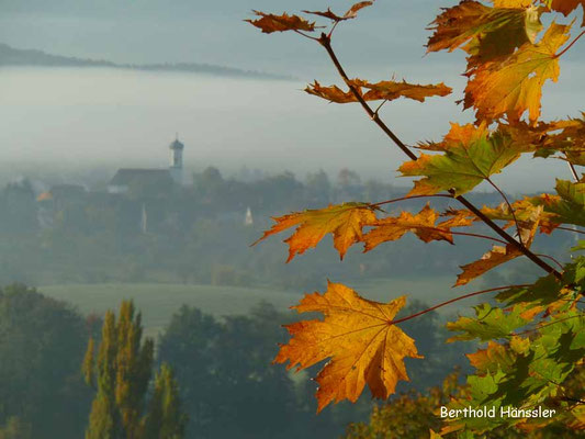 Blick auf Ottenbach