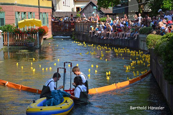 Süßen - Entenrennen bem Stadtfest