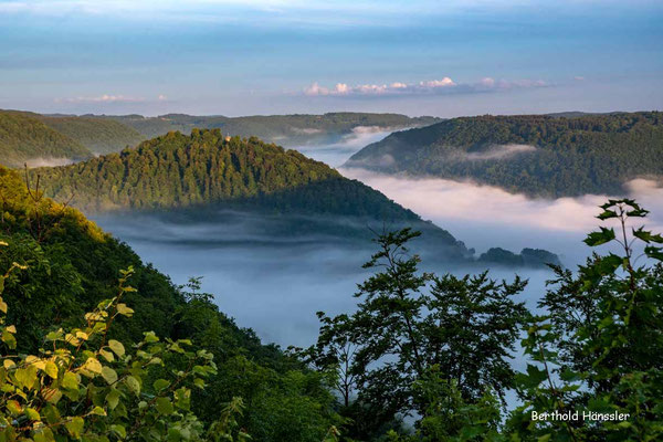 August 2022, Blick zur Hiltenburg von der Schonterhöhe