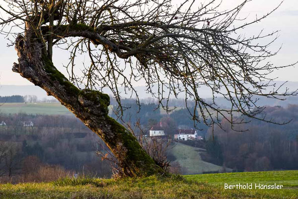 Kapelle am Ortsrand von Wisgoldingen