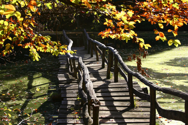 Ehemaliger Steg am Linsenholzsee