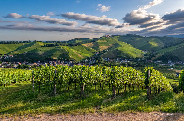 Juni 2025 Ortenau, Durbach