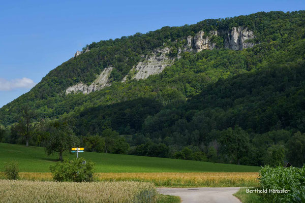 Juli 2020, Hausener Felsenwand