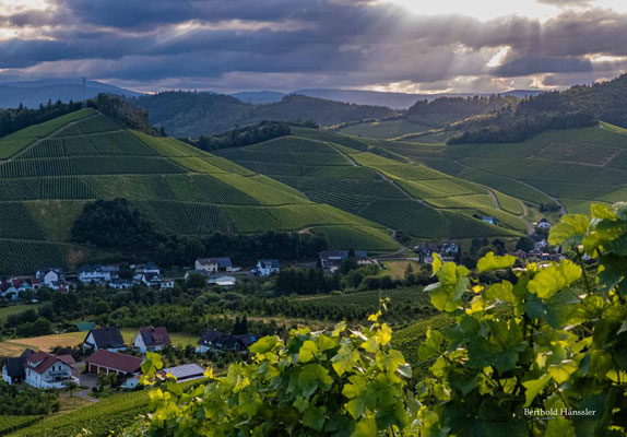 Juni 2025 Ortenau, Durbach