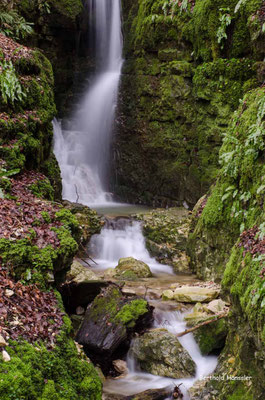 Kleiner Wasserfall im Wittlinger Steig