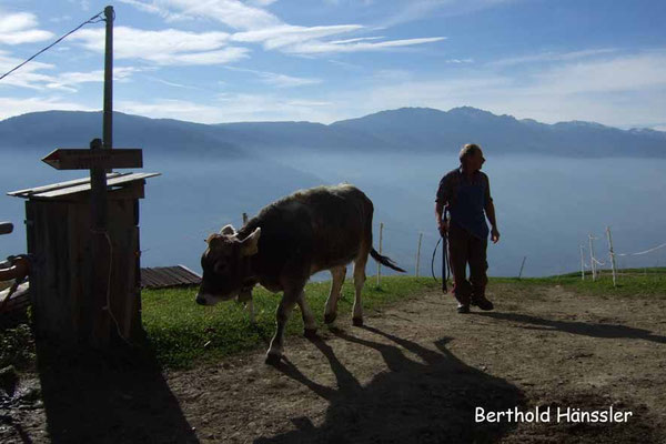 Südtirol - Höhenweg bei Vellau