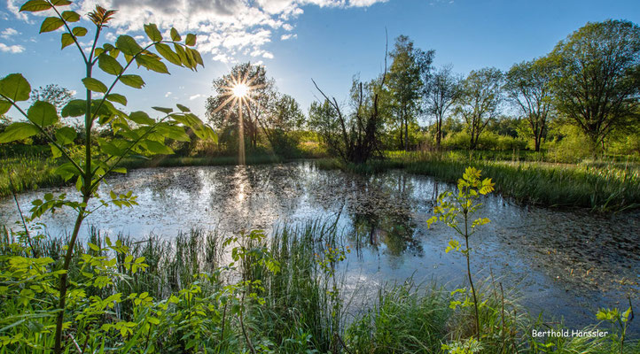 Mai 2021, Naturschutzgebiet in der Nähe von Grünenberg
