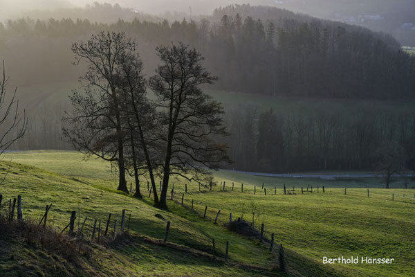 Februar 2021, Morgenstimmung bei Ottenbach