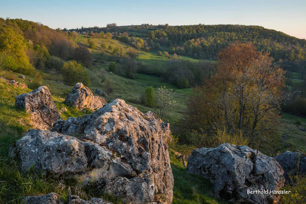 April 2020, Randecker Maar