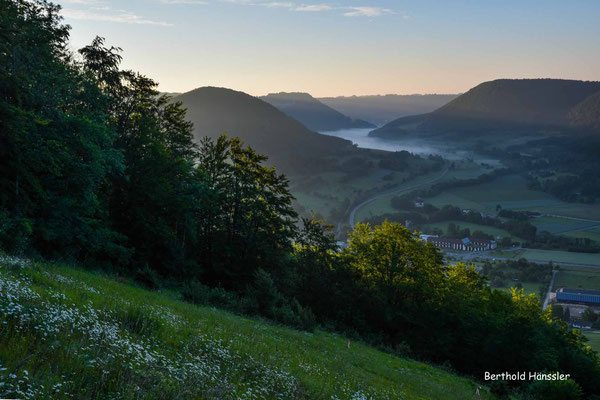 Mai 2020, Oberhalb von Reichenbach i.T. mit Blick Richtung Hausen
