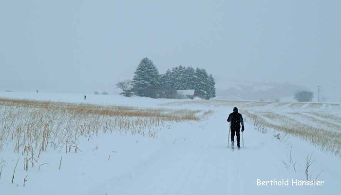 Langlauf am Messelberg