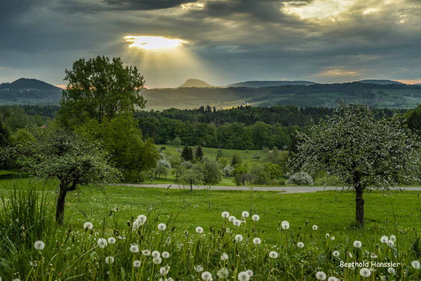 April 2020, Blick zum Stuifen