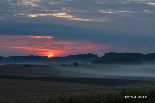 Morgenstimmung bei Scharenstetten