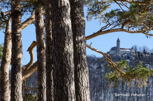 Burg Teck vom Hohenbol aus 