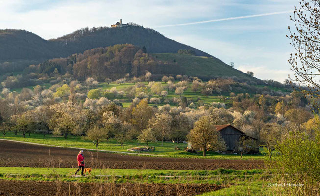 2025 Blütenbracht rund um die Teck