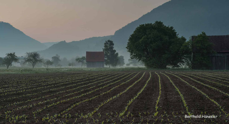 Mai 2020, Morgenstimmung bei Hausen