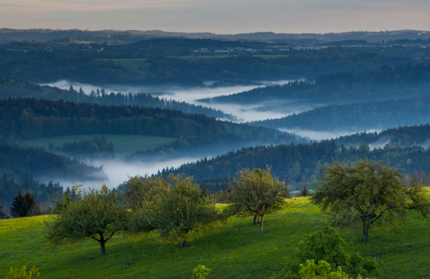 Blick von der Spielburg Richtung Schwäbischer Wald