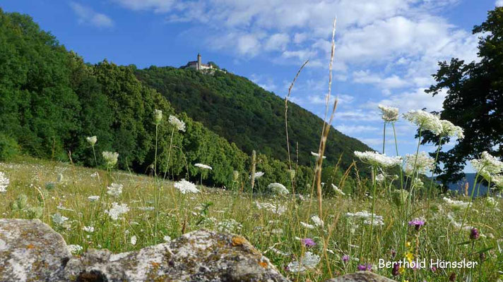 Burg Teck