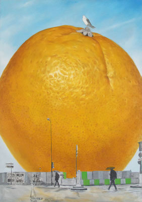 Vitamine C  100 X 73 cm 40P
