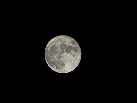 9/21   中秋の名月　満月です