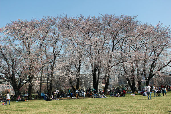 03.中川連合町内会　中川八幡山公園