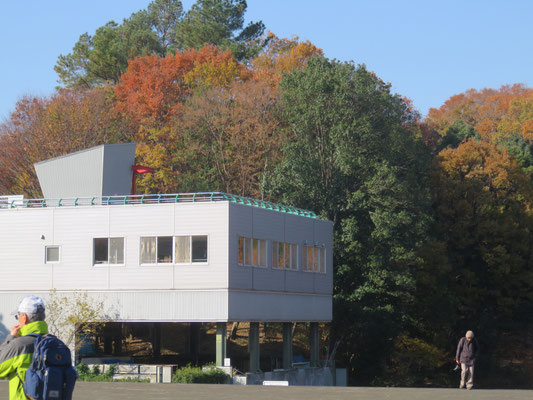 都筑中央公園　宮戸の大池