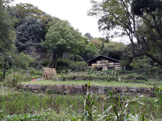 都筑中央公園ばじょうじ谷戸休憩所