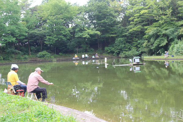 山崎公園の池