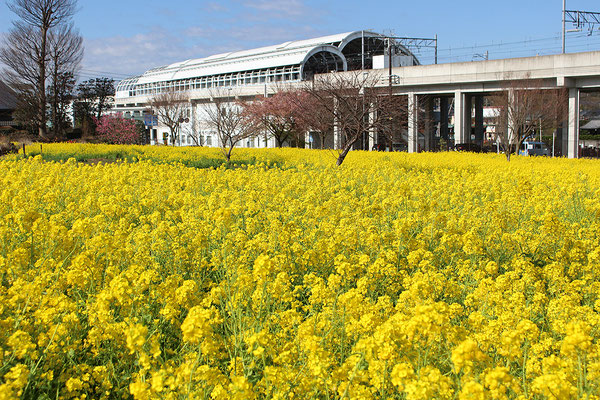 川和町駅周辺