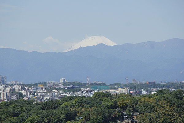 14.ふれあいの丘連合自治会　川和富士からの眺望