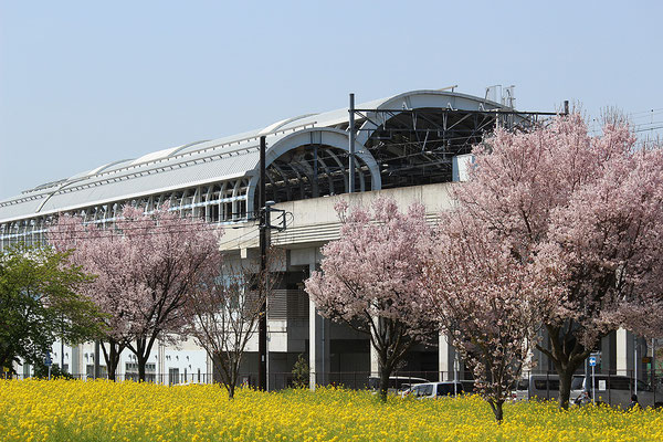 川和町駅周辺