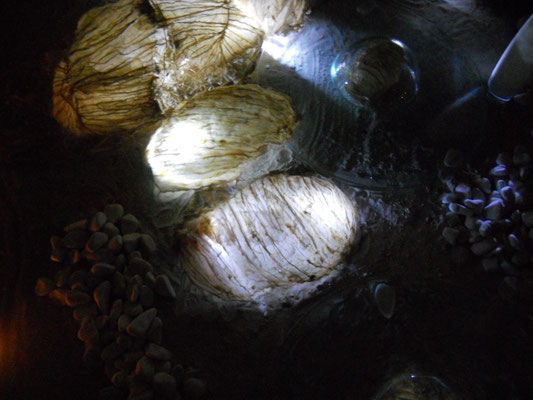 Chambre des Cocons Installation Les Nuits de Lauzerte - Caroline Delannoy 