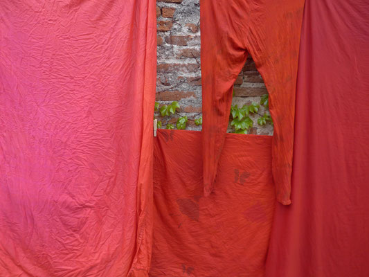 Teinture / Photo Caroline Delannoy