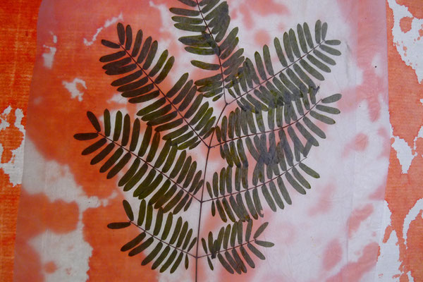Herbier - feuille peinture  sur papier - Caroline Delannoy
