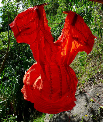 Teinture/Photo Caroline Delannoy /Rouge