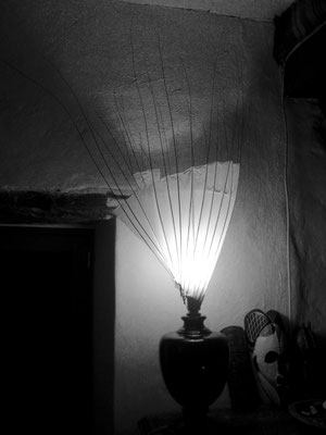 Papier lumière 90/50cm papier de soie/osier  -collection privée - Caroline Delannoy 