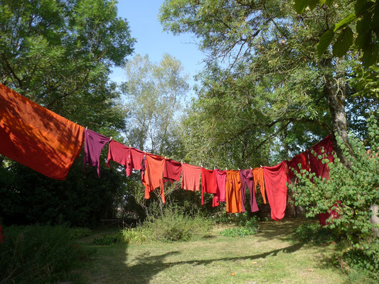 Teinture / Photo caroline Delannoy