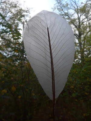 Feuille Papier -  papier de soie/osier/végétal  - 50/20cm - Caroline Delannoy -