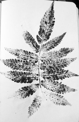 EMPREINTE fougère encre de chine sur papier-croquis Caroline Delannoy