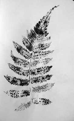 EMPREINTE fougère encre de chine sur papier-croquis Caroline Delannoy