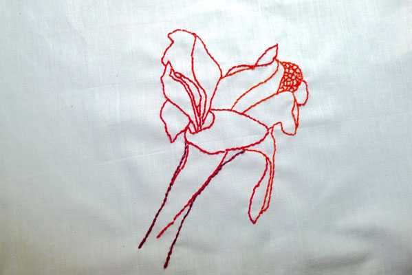 broderie /Photo Caroline Delannoy /Rouge