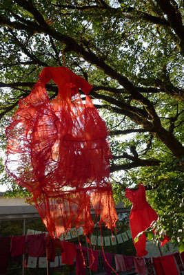 ROUGE Installation Caroline Delannoy  Le Réservoir St Férréol