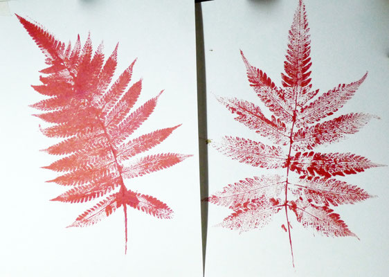 Empreinte /Photo Caroline Delannoy /Rouge