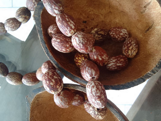 boite en noix de coco /collier en graine de palmier/ JJ Félicité et Caroline Delannoy 