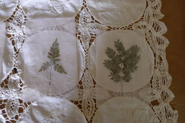 Herbier - feuilles sur papier et nappe brodée - Caroline Delannoy