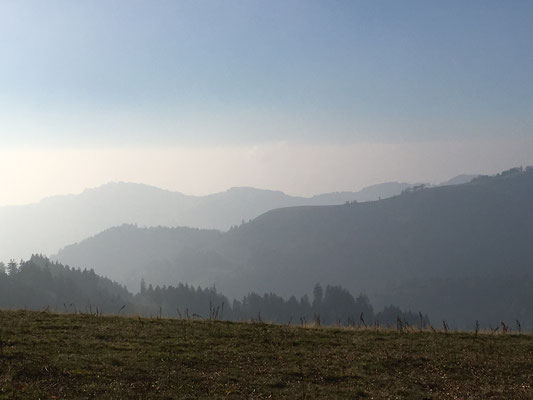 Höchhand, Zürcher Oberland, Switzerland