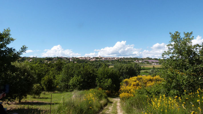 Puimoisson vu depuis la chapelle