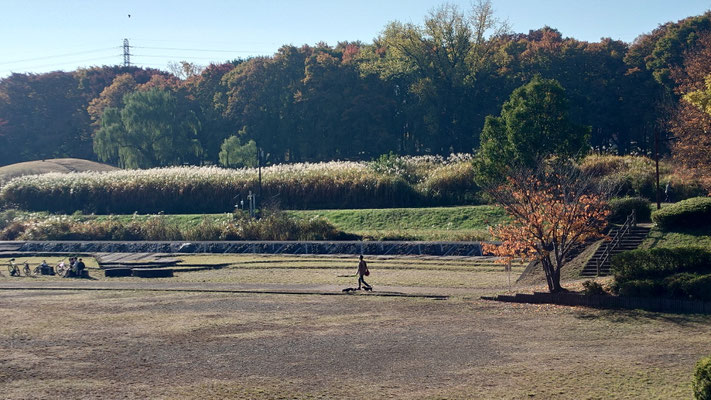 251117_1武蔵野公園s