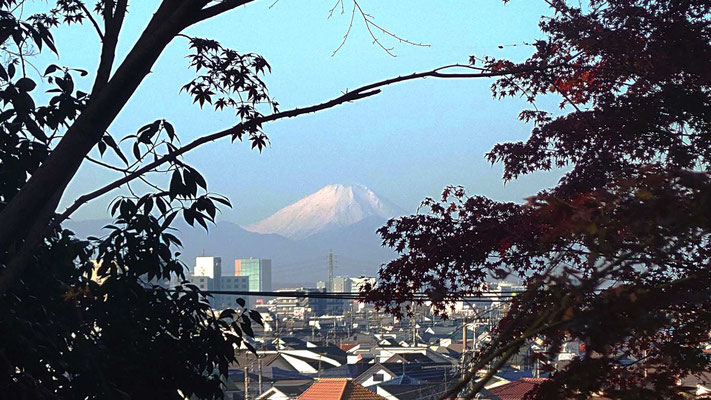富士山